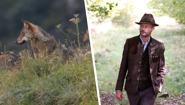 Salzburgs Landesjägermeister Max Mayr-Melnhof wählte bei einem Vortrag heftige Worte: „Wenn ein ...