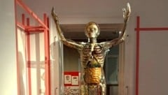 Eine „Gläserne Frau“ in der Ausstellung in Mauer. Nicht immer sind psychische Erkrankungen von ...