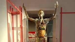 Eine „Gläserne Frau“ in der Ausstellung in Mauer. Nicht immer sind psychische Erkrankungen von ...