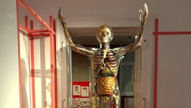 Eine „Gläserne Frau“ in der Ausstellung in Mauer. Nicht immer sind psychische Erkrankungen von ...