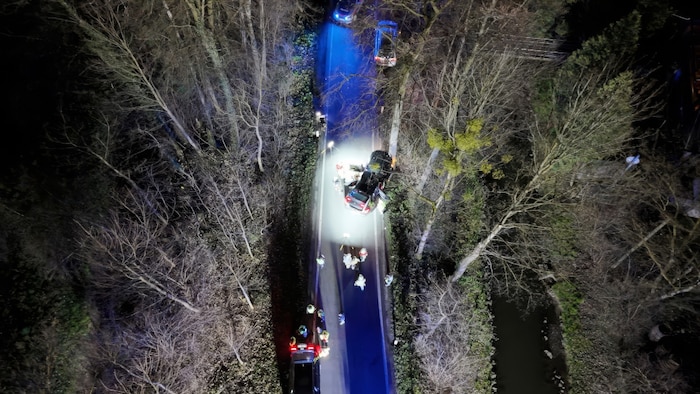 Die Unfallstelle im Ried.