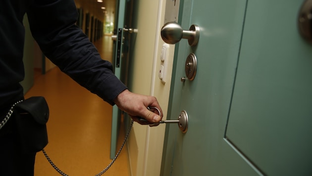 Prison report on high costs and fugitive offenders.