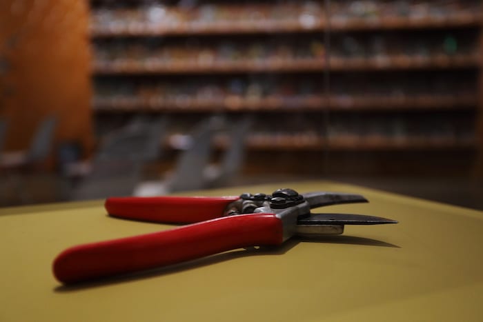 Barbara Frischmuths Gartenschere ist aktuell in der Ausstellung „30% Löwenzahn“ im Grazer ...