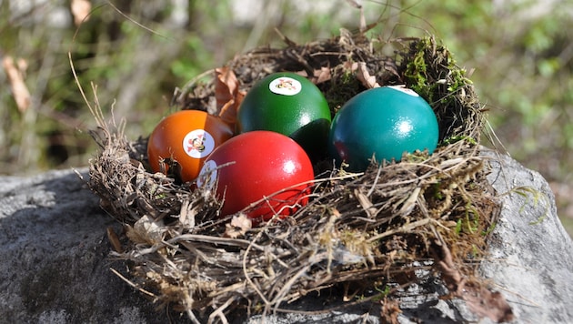 Nicht nur nach Ostereiern kann in den Ferien gesucht werden.