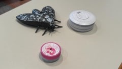 Geräte, die Schlafende rechtzeitig warnen, gibt es in verschiedenen Formen zu Zimmern passend.