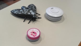 Geräte, die Schlafende rechtzeitig warnen, gibt es in verschiedenen Formen zu Zimmern passend.