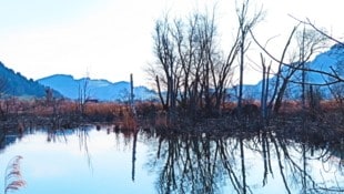 Das Bleistätter Moor lädt zu einem Spaziergang ein