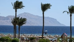 Während die Eltern am Strand von Sharm El Sheikh lagen, ließen sie ihre Kinder zu Hause, und das ...