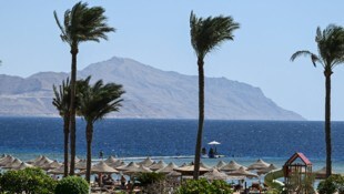Während die Eltern am Strand von Sharm El Sheikh lagen, ließen sie ihre Kinder zu Hause, und das ...