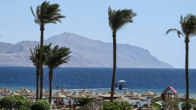 Während die Eltern am Strand von Sharm El Sheikh lagen, ließen sie ihre Kinder zu Hause, und das ...