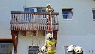 Die Flachgauer Floriani retteten das Tier.