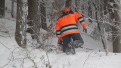 Der Forstarbeiter war alleine im Wald. (Symbolbild)