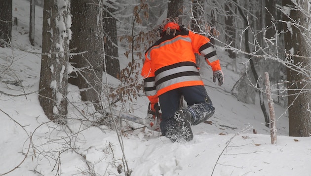 Der Forstarbeiter war alleine im Wald. (Symbolbild)