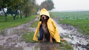 Die Kaltfront zieht kommende Woche über ganz Österreich.