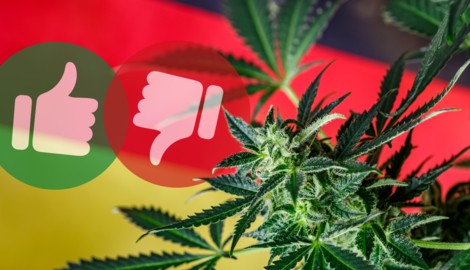 Was spricht für, was gegen die Cannabis-Legalisierung? Deutschland zeigt es Österreich seit 2024 ...