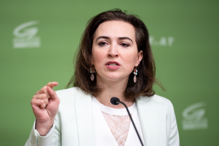 Die ehemalige Justizministerin Alma Zadić übt scharfe Kritik am Gesetz der Regierung.