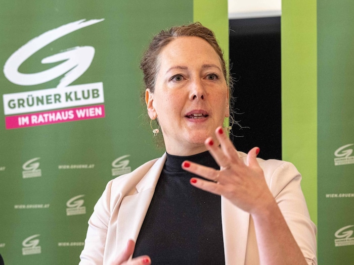 Grünen-Chefin Judith Pühringer sorgt sich um die Jugend.