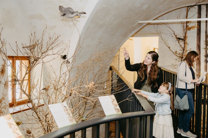 Auf Entdeckungstour in Burg Forchtenstein gibt es die Natur im Frühjahr zum Begreifen.