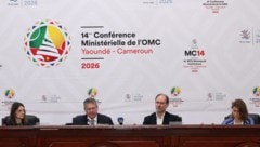 Die Ministerkonferenz der Welthandelsorganisation (WTO) fand heuer in Jaunde, der Hauptstadt ...