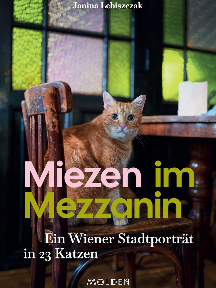 Coverstar „Luke“ gehört zu Wiens Elite auf Samtpfoten.