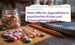 Die 16-Jährige nahm etwa Benzodiazepine. So sieht die Petition aus (kl. Bild).