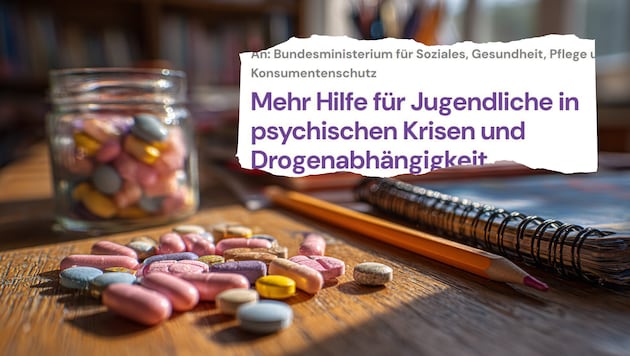 Die 16-Jährige nahm etwa Benzodiazepine. So sieht die Petition aus (kl. Bild).