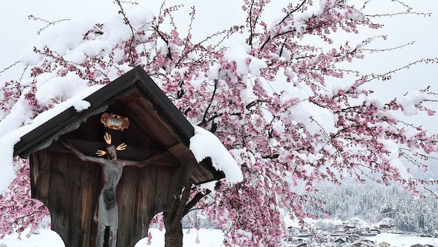 Noch einmal schneit es bis in tiefste Lagen hinunter.