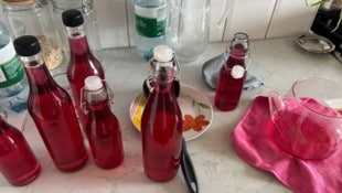 Wenn man genau hinschaut, sind sie überall. Heuer ist definitiv ein Veilchenjahr. Mit ...