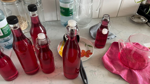 Wenn man genau hinschaut, sind sie überall. Heuer ist definitiv ein Veilchenjahr. Mit ...