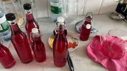 Wenn man genau hinschaut, sind sie überall. Heuer ist definitiv ein Veilchenjahr. Mit ...