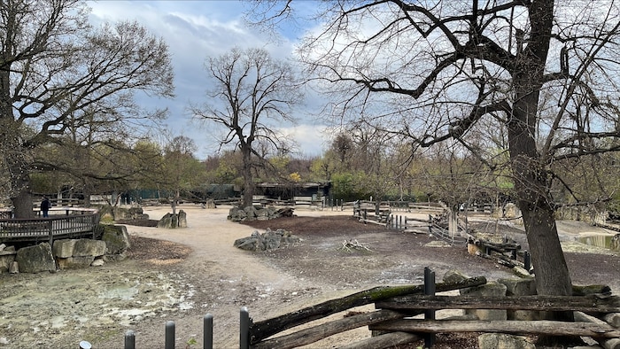 Fotos aus dem Tiergarten am Dienstag. Im hintersten Eck des Geheges halten sich die ...