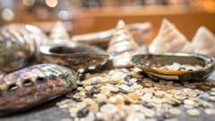 Knöpfe aus edlem Perlmutt – früher allgegenwärtig, heute setzt die Firma aufgrund anderer ...