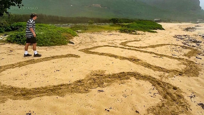 Mit diesen riesigen Buchstaben, die sie in den Sand geschrieben hatten, konnte das Paar ...