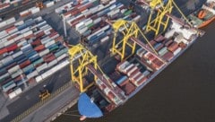 Abhängigkeiten in globalen Lieferketten bringen unser Wirtschaftssystem ins Wanken.