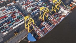 Abhängigkeiten in globalen Lieferketten bringen unser Wirtschaftssystem ins Wanken.