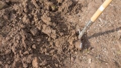 Das Ehepaar wollte im Garten neue Beetbegrenzungen machen. (Symbolbild)