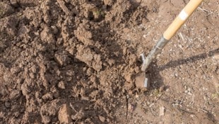 Das Ehepaar wollte im Garten neue Beetbegrenzungen machen. (Symbolbild)