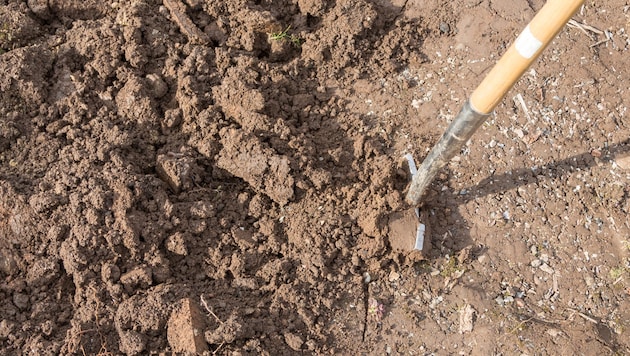 Das Ehepaar wollte im Garten neue Beetbegrenzungen machen. (Symbolbild)