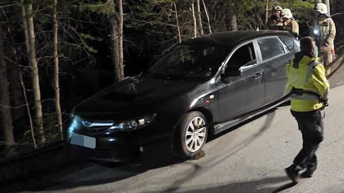 Der Lenker ließ sein Auto zurück. Dieses wurde von den Einsatzkräften geborgen.