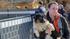 Die Hunde waren bei der Abnahme Ende März extrem verwahrlost und von Parasiten befallen. Auch ...