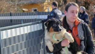 Die Hunde waren bei der Abnahme Ende März extrem verwahrlost und von Parasiten befallen. Auch ...