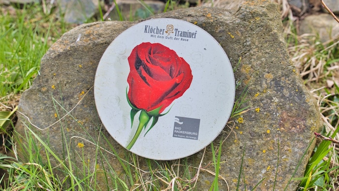 Dank markanter Rosen-Kennzeichnung kann man hier nicht vom Weg abkommen.