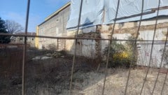 Das ehemalige Marini-Prachtstück in der Griffner Straße verfiel in den letzten Jahrzehnten ...