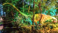 Origineller Blickfang: Zwei lebensgroße Dino-Figuren werden für „Licht ins Dunkel“ versteigert.