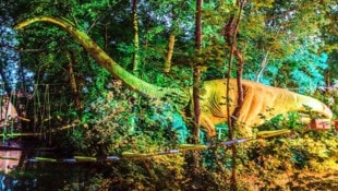 Origineller Blickfang: Zwei lebensgroße Dino-Figuren werden für „Licht ins Dunkel“ versteigert.