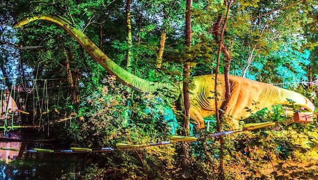 Origineller Blickfang: Zwei lebensgroße Dino-Figuren werden für „Licht ins Dunkel“ versteigert.