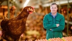 Gerold Sterrer, Obmann der Geflügekwirtschaft in Oberösterreich, in einem seiner fünf ...