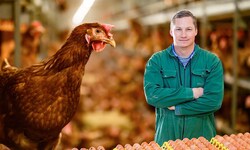 Gerold Sterrer, Obmann der Geflügekwirtschaft in Oberösterreich, in einem seiner fünf ...