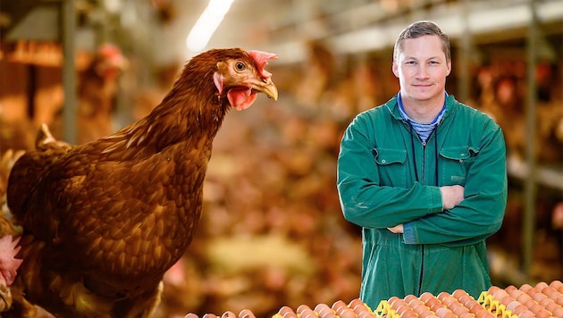 Gerold Sterrer, Obmann der Geflügekwirtschaft in Oberösterreich, in einem seiner fünf ...