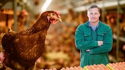 Gerold Sterrer, Obmann der Geflügekwirtschaft in Oberösterreich, in einem seiner fünf ...